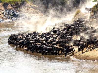 7-Day Ultimate Tanzania Safari: Big Five & Great Migration Adventure