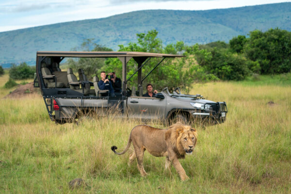 wildlife safaris in Rwanda
