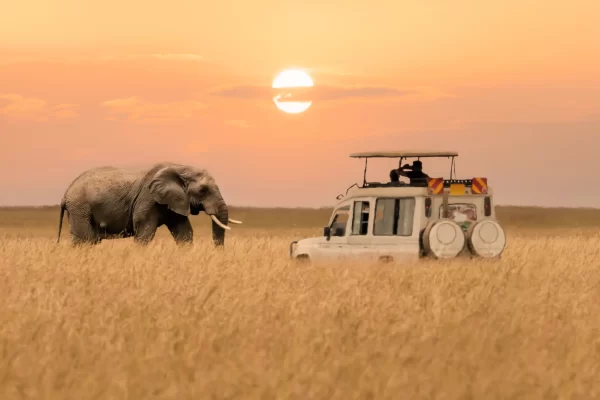 Tanzania and Zanzibar tour itinerary