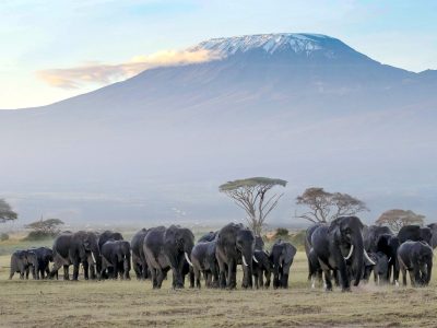 7 Days Kenya Safari Itinerary