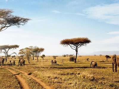 4days serengeti national park tour itinerary