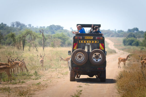 10 Days Rwanda safari