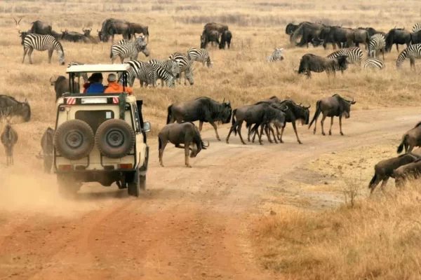 10 days Tanzania Luxury safari