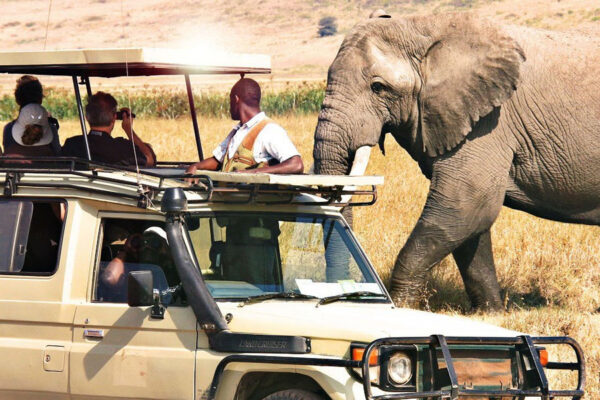 10 days Tanzania Luxury safari