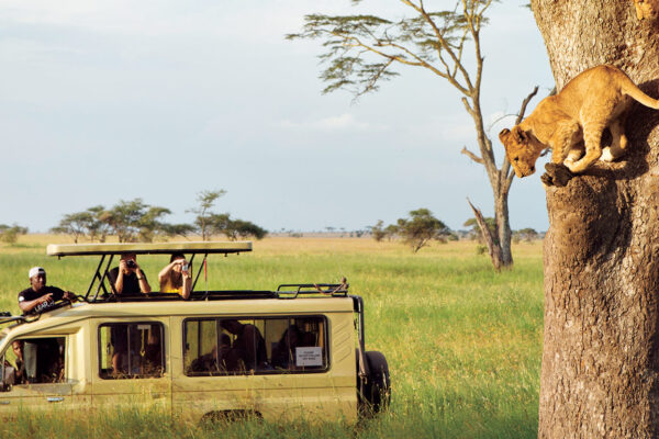 10 days Tanzania safari and Zanzibar beach holiday