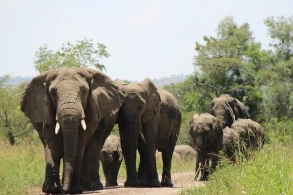 3 Days Akagera Wildlife Safari itinerary