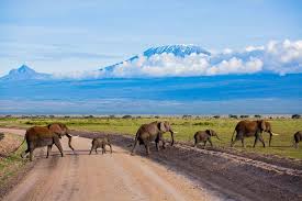 3 Days Amboseli national park wildlife safari Itinerary