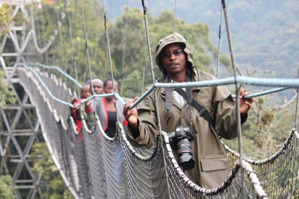 3-Days chimpanzee trekking in nyungwe forest