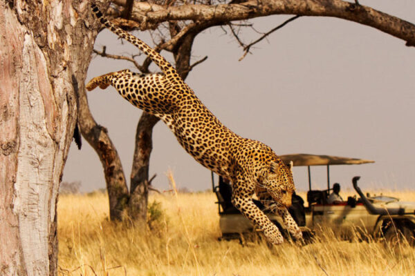 3 Days Akagera Wildlife Safari itinerary