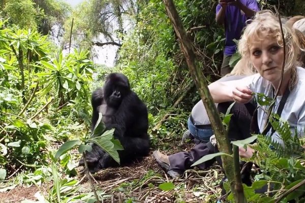 4 Days Rwanda gorilla trekking and Lake Kivu safari