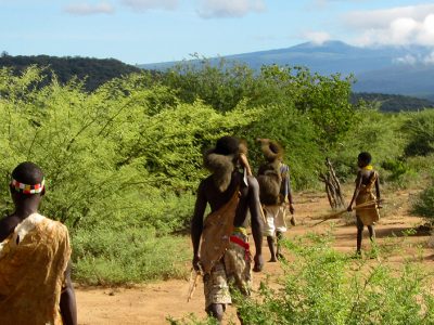 17 Day Wildlife Safari and Cultural in Northern Circuit Tanzania