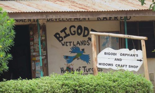 Bigodi Wetland walk 