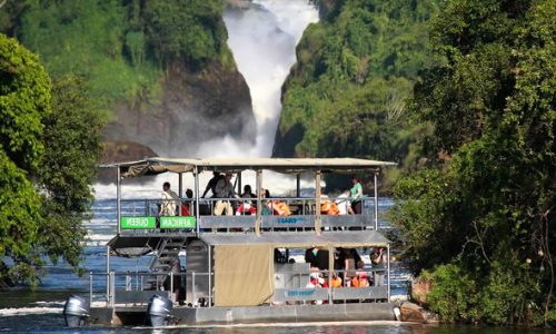 Murchison-Falls Boat Cruise 10-Day Uganda Safari—Gorillas, Chimps & Big 5 Uganda Wildlife Safari