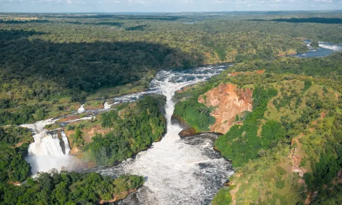 14 Days Uganda Gorillas, Chimps & Wildlife Safari