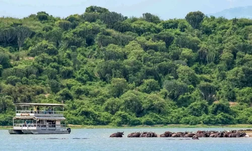 kazinga_channel_boat 10-Day Uganda Safari—Gorillas, Chimps & Big 5 Uganda Wildlife Safari