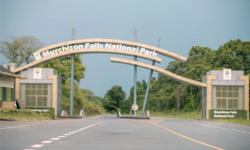 Murchison falls Gate 10-Day Uganda Safari—Gorillas, Chimps & Big 5 Uganda Wildlife Safari.