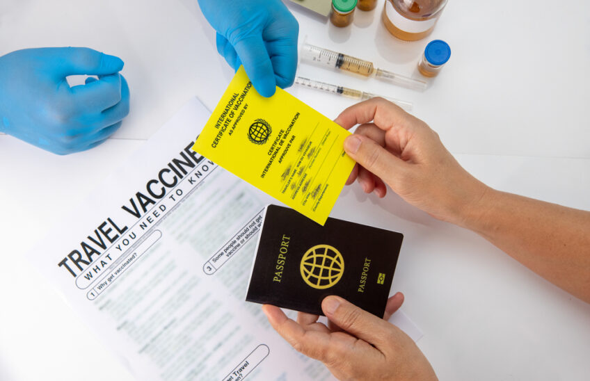 Get,International,Certificate,Of,The,Vaccination,Before,Travel Essential Vaccinations Before Your East African Safari